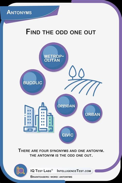 odds antonyms|antonym finder.